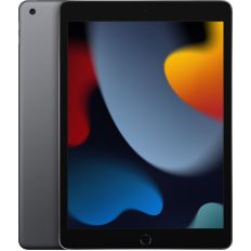 iPad 2021, 256 ГБ, Wi-Fi+Cellular, серый космос