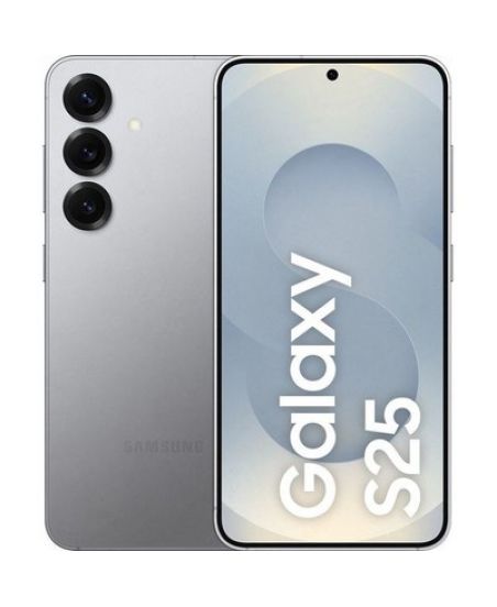 Samsung Galaxy S25 12 ГБ/256 ГБ, Серебристый