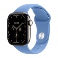 Apple Watch Series 12, 42 mm, Natural Titanium GPS+Cellular Wildflower Blue Sport Band M/L