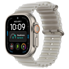 Apple Watch Ultra 4, 49 мм, Natural Titanium Translucent Gray Ocean Band M/L Apple Watch Ultra 4, 49 мм, Natural Titanium Translucent Gray Ocean Band M/L
